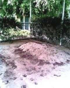 Grave of Abul Ala Maududi in Ichra, Lahore, Pakistan